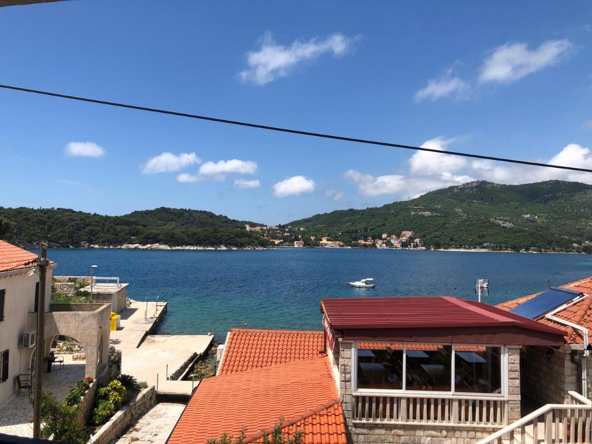 Villa Ana Zaton  Εξωτερικό φωτογραφία