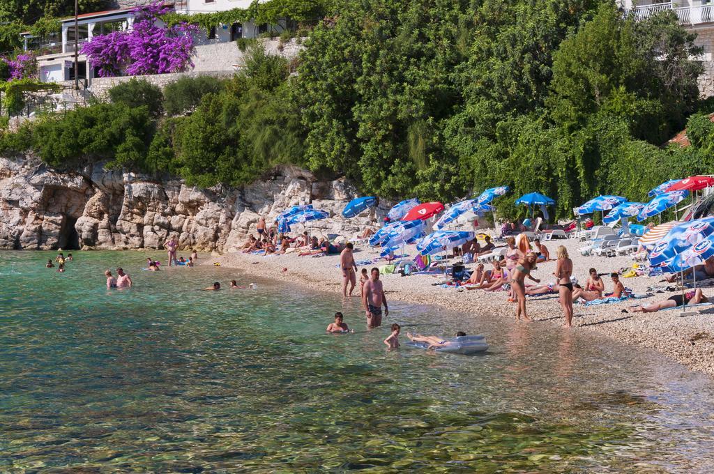 Villa Ana Zaton  Εξωτερικό φωτογραφία