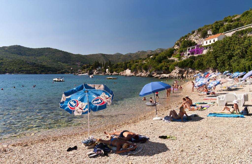 Villa Ana Zaton  Εξωτερικό φωτογραφία